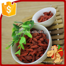 fresh green non pollution health and delicious dry goji berry